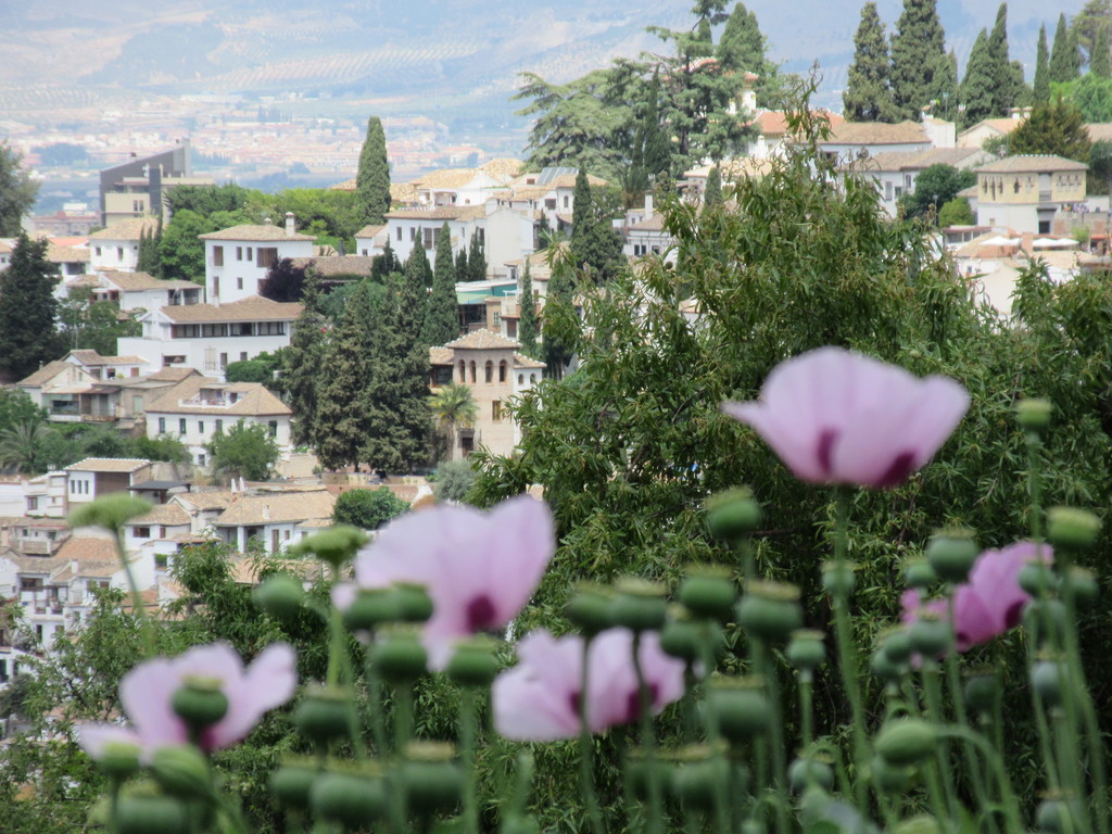 Granada from the gardens of the Alhambra