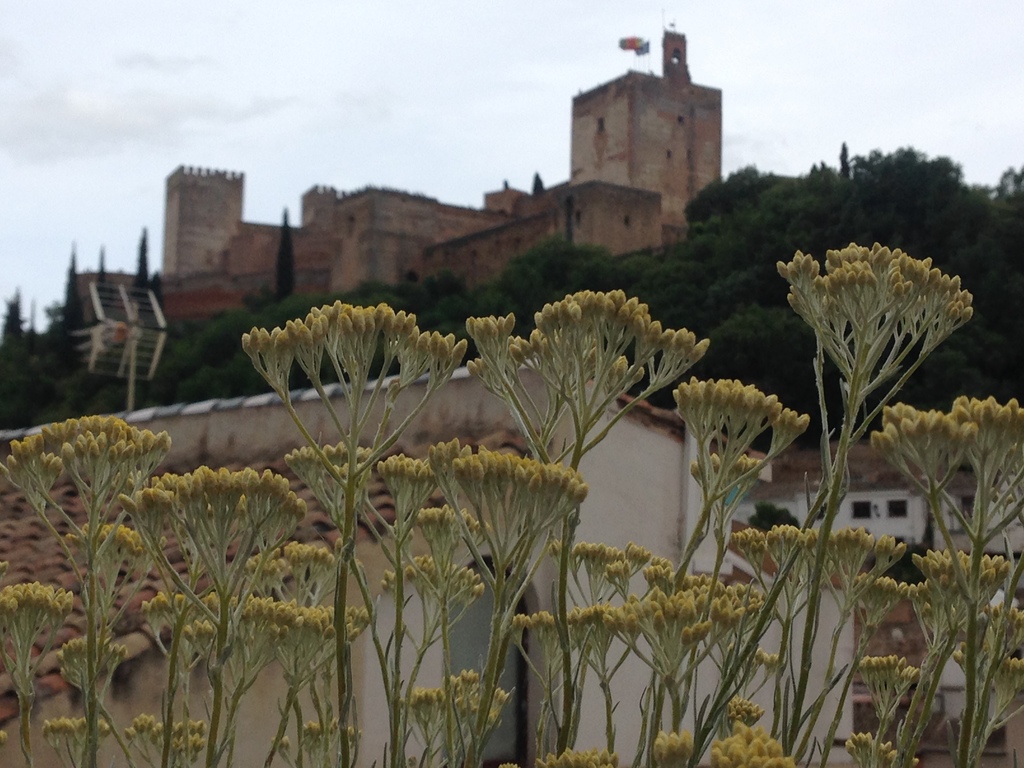 View of the Alhambra from the Muralla Ziri Apartments