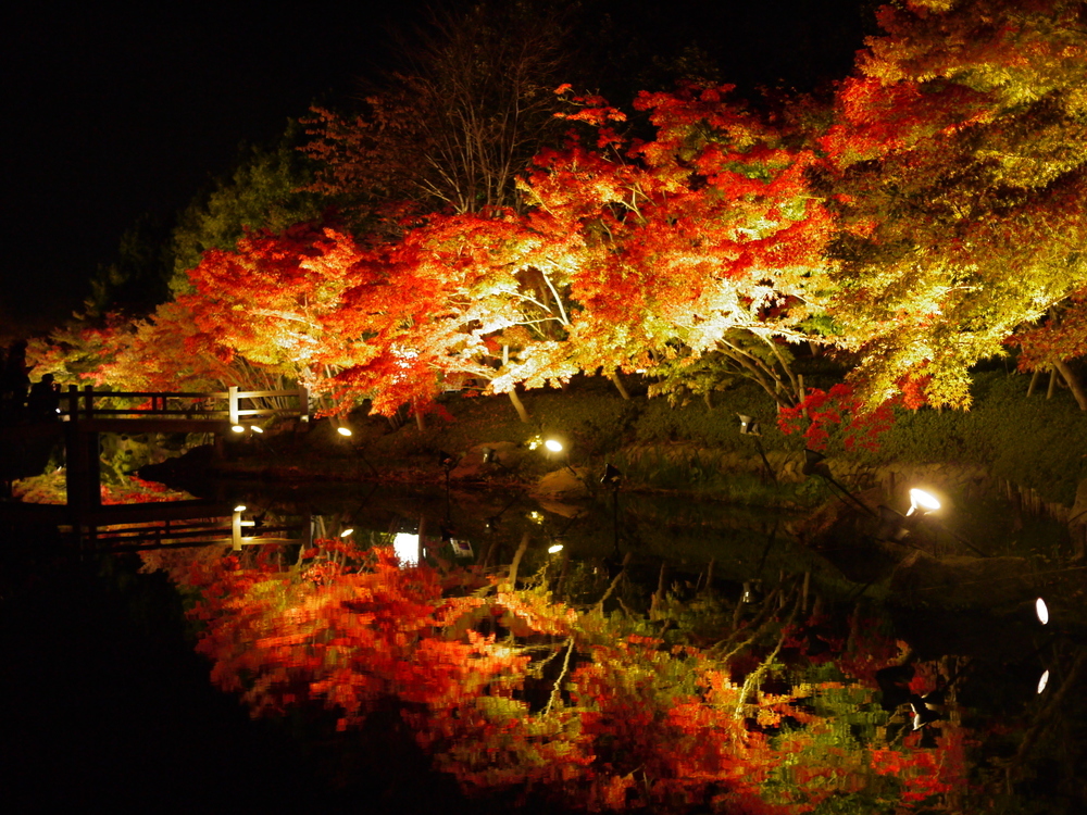 things to do in nagashima | the beautiful pond kagamiike under the illuminated autumn colors