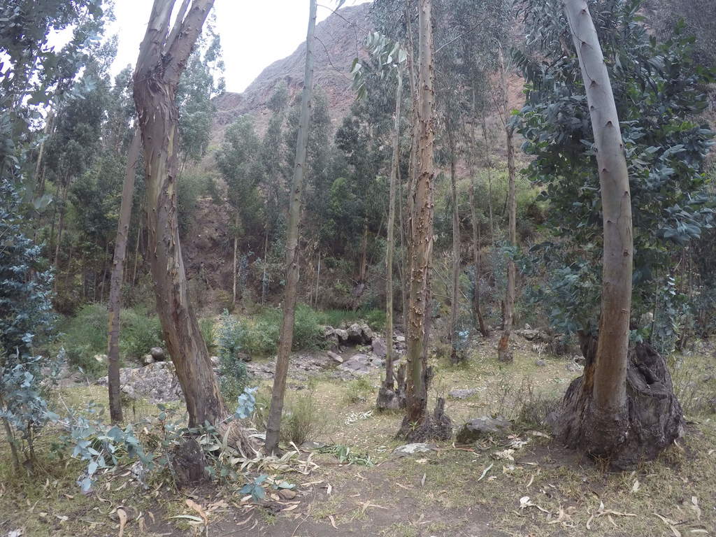 Beautiful river trails that begin next to Hotel Royal Inka