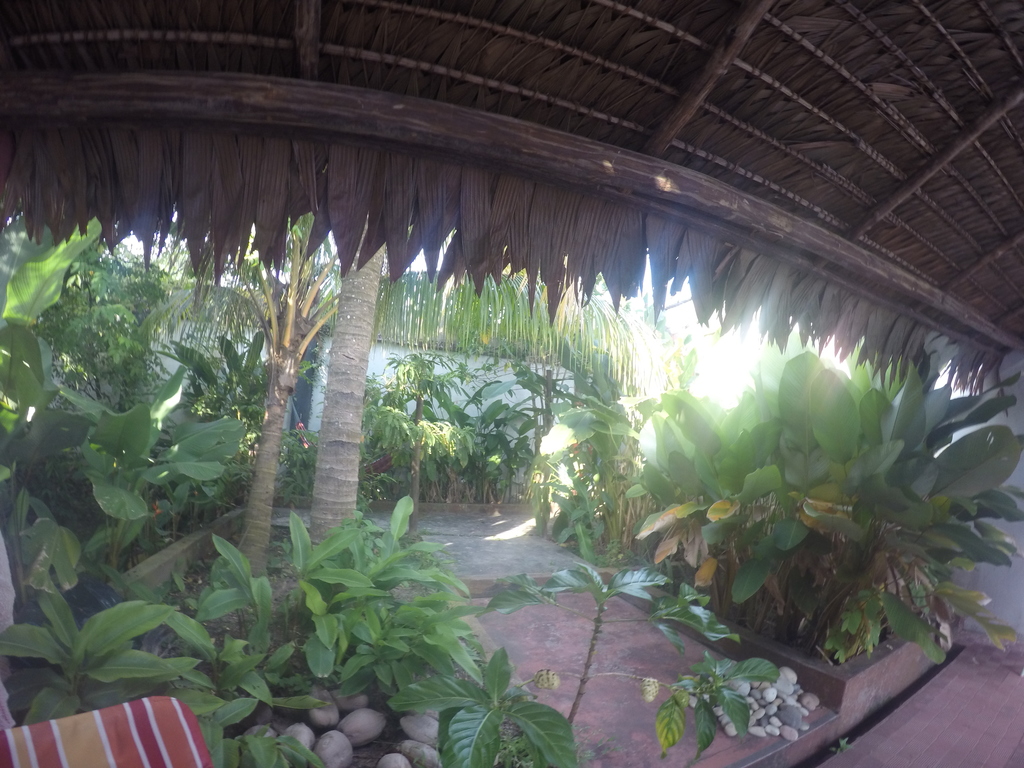 Outdoor shot taken at The Amazon Within