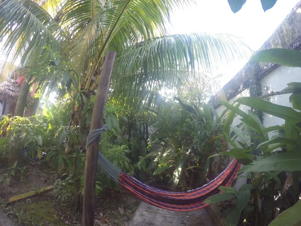 Hammock hangout surrounded by garden space