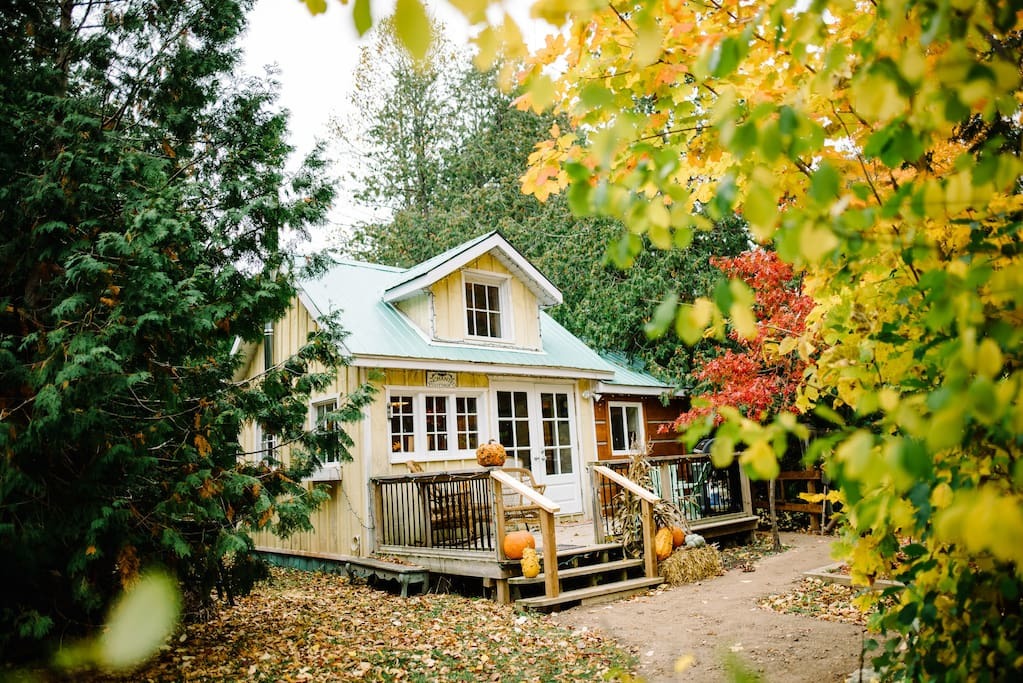 Top 11 Airbnb Vacation Rentals In Orangeville, Canada Updated 2024