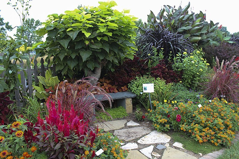 The Idea Garden (14932342547)
