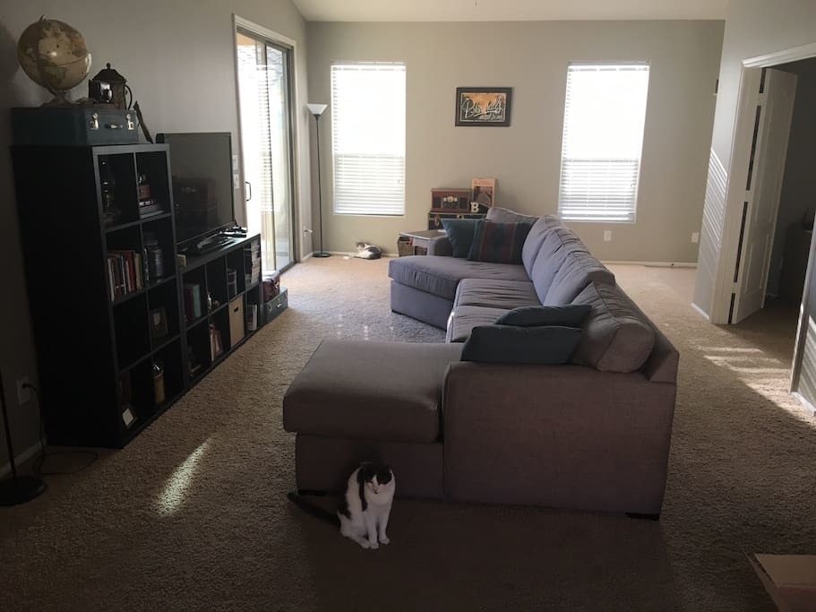 Check Out The Top 10 Airbnb Vacation Rentals In Queen Creek, AZ