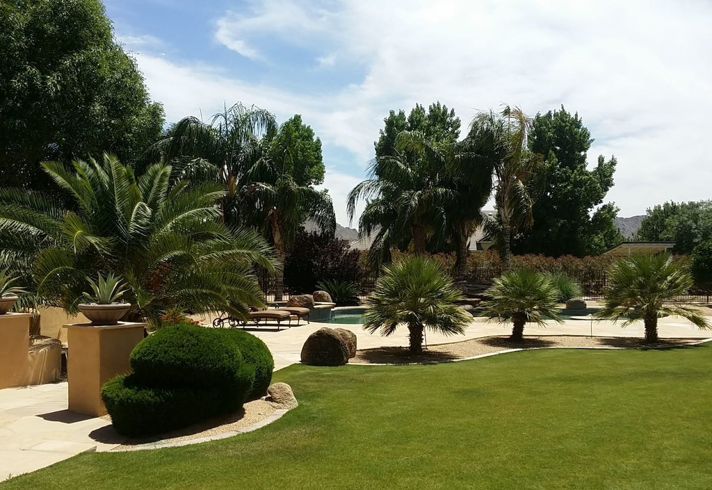 Check Out The Top 10 Airbnb Vacation Rentals In Queen Creek, AZ