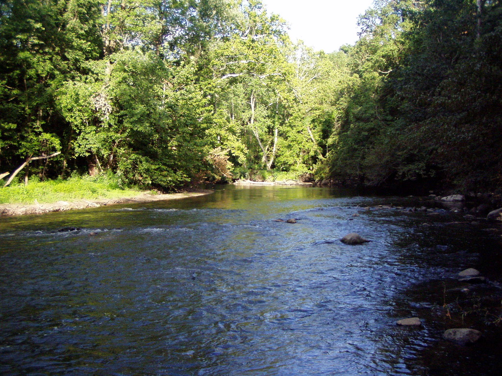 Fall Creek at Fort Harrison