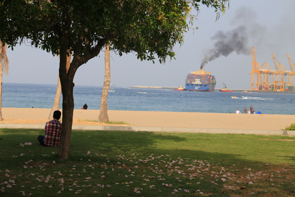 The View on the Khor Fakkan Container Port