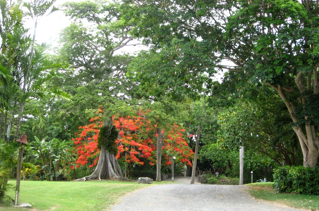 2008-07-17 St. George Village Botanical Gardens St. Croix USVI