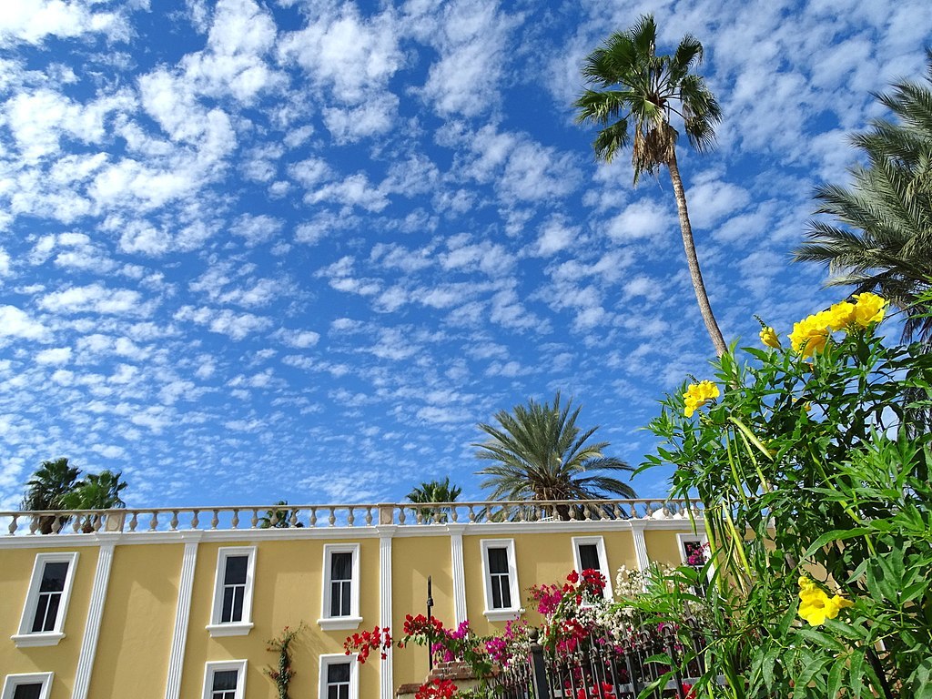 Flowers and Sky - San Jose del Cabo - Baja California Sur - Mexico - 01 (24055816311) (2)
