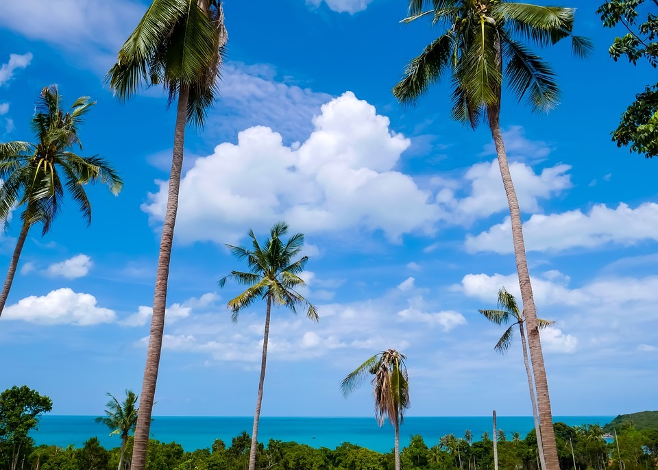 Koh Samui