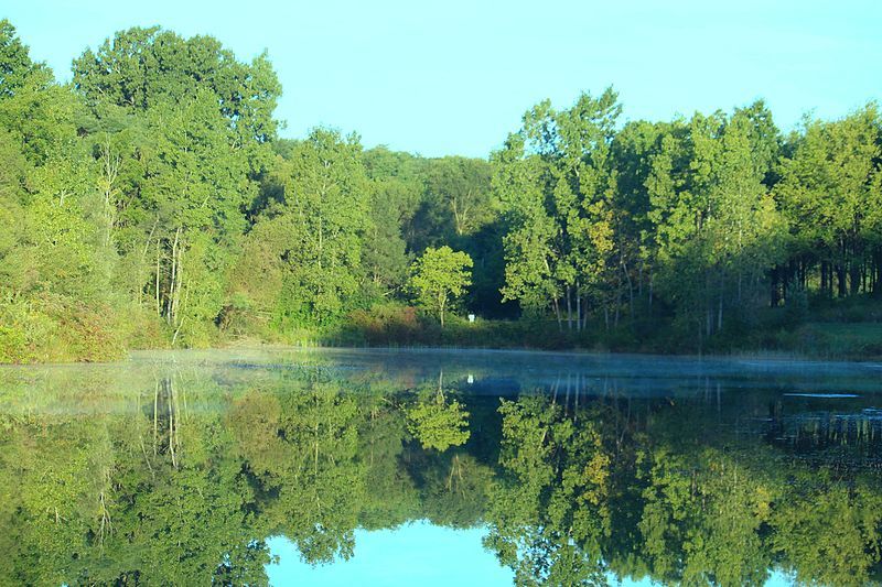 Spring Pond in Rolling Hills Park, Ypsilanti Township, Michigan - panoramio