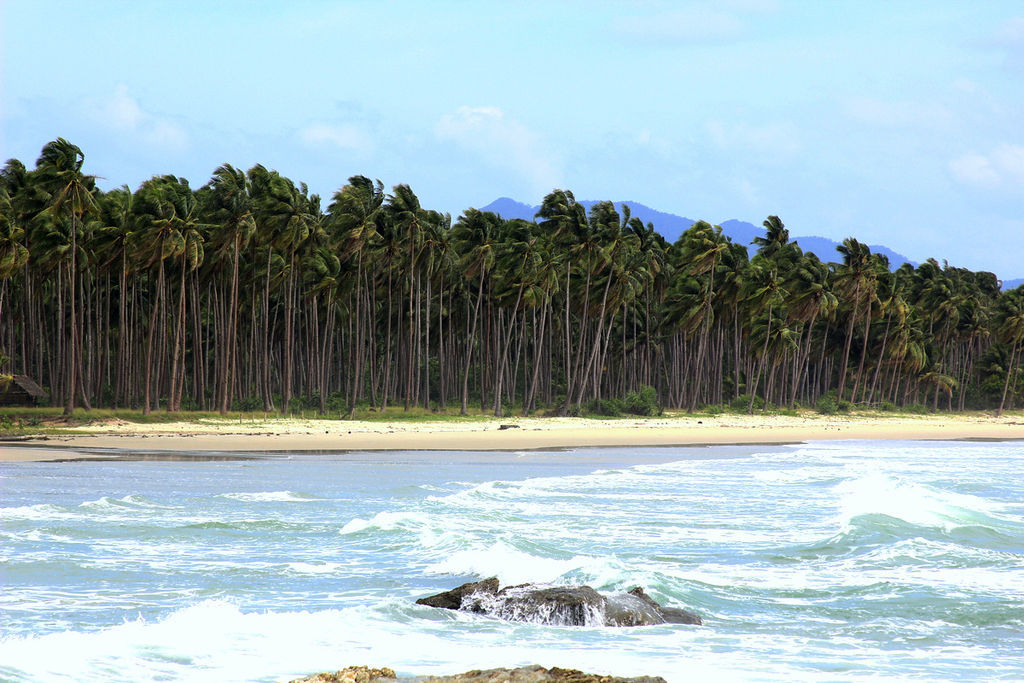 Long Beach in San Vicente