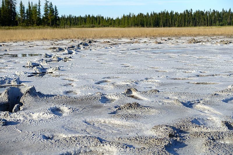 Salt Plains, Wood Buffalo National Park