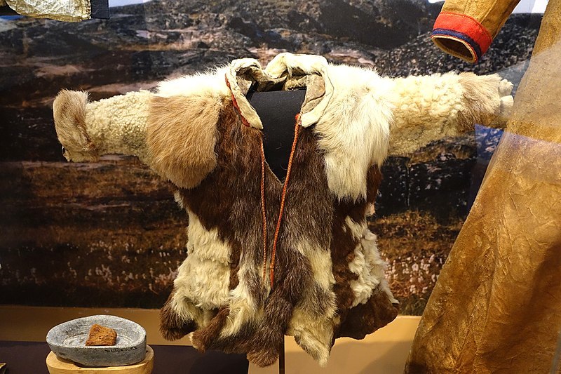 Child's coat, Sami people, Torne Lapland, Sweden, reindeer fur and sheepskin, No. 1933.14.0011 - Etnografiska museet - Stockholm, Sweden - DSC01298