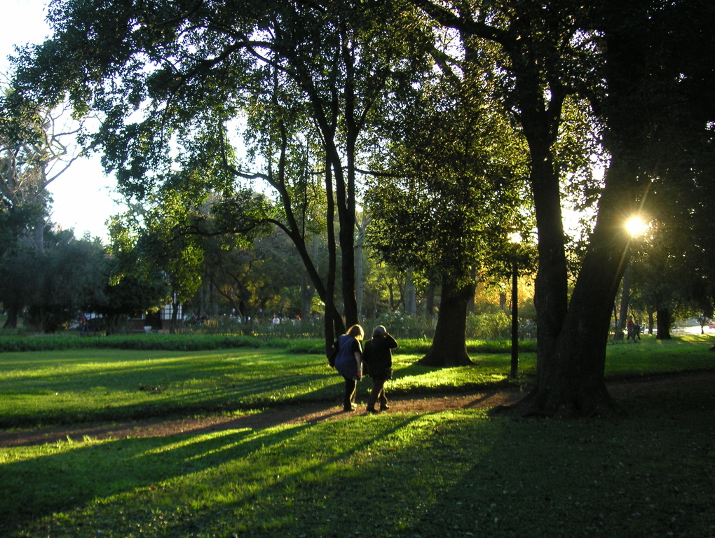 Walking in the park