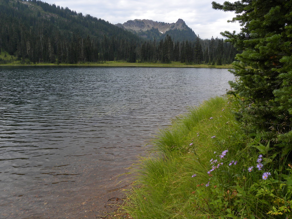 Lower Dewey Lake