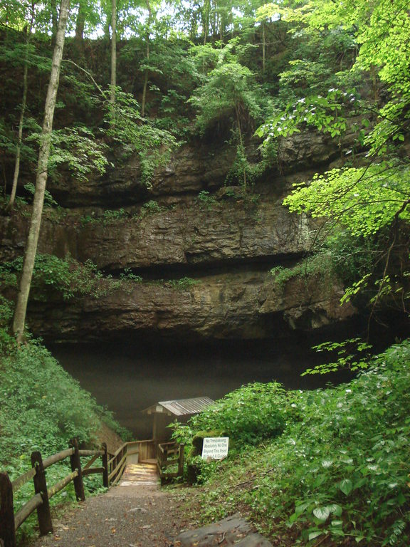 OrganCave1