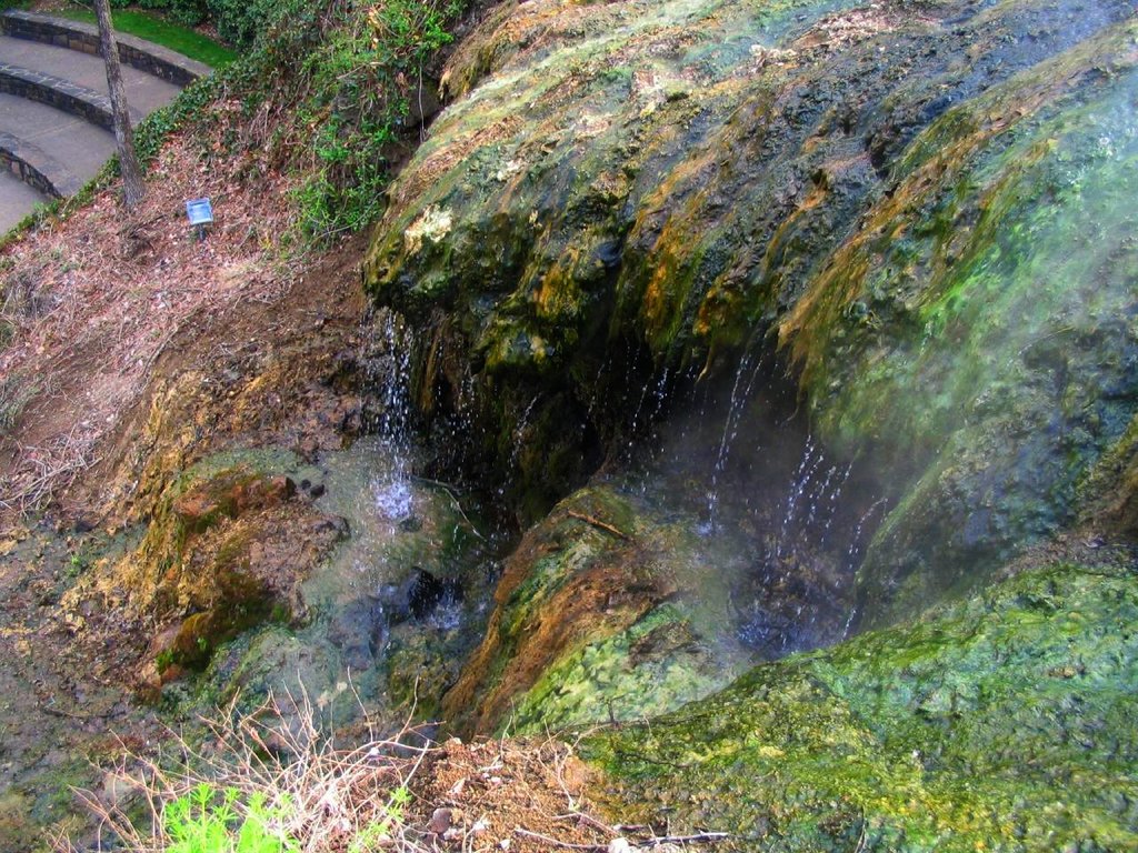 The Remaining Natural Hot Springs of Hot Springs National Park, Arkansas