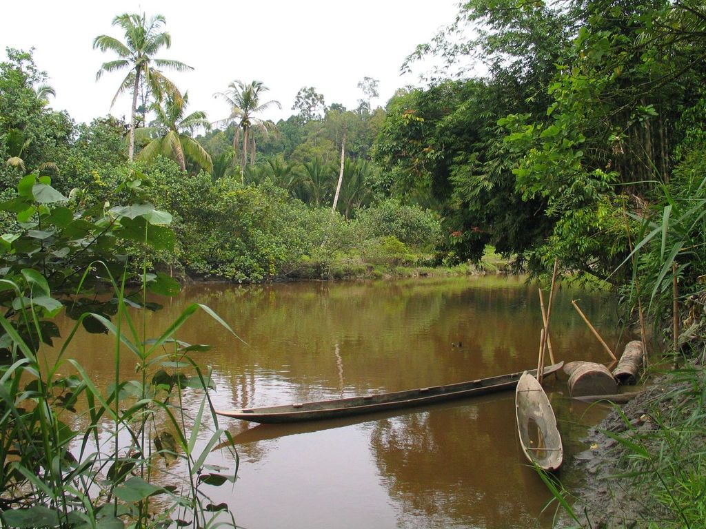 Siberut island river