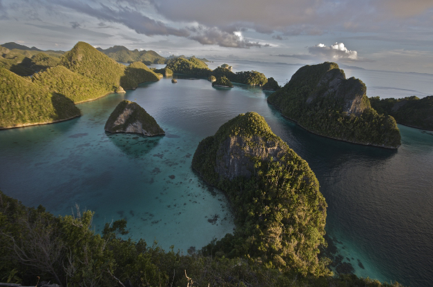Raja Ampat Islands - journal.pbio.1001457.g001