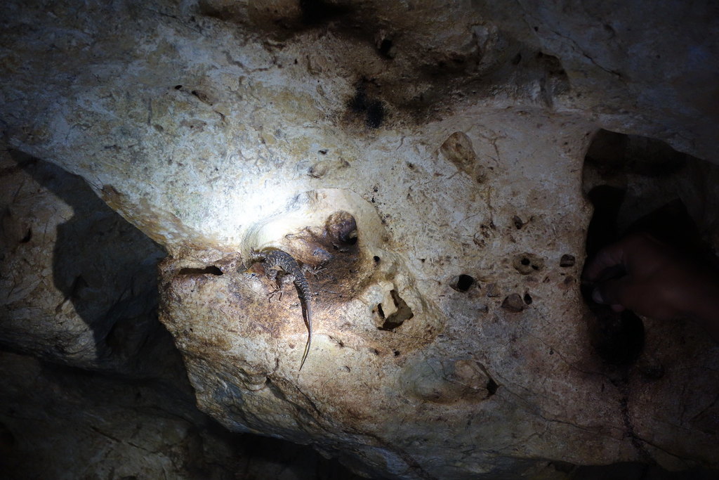 Belize: Chechem Ha Cave