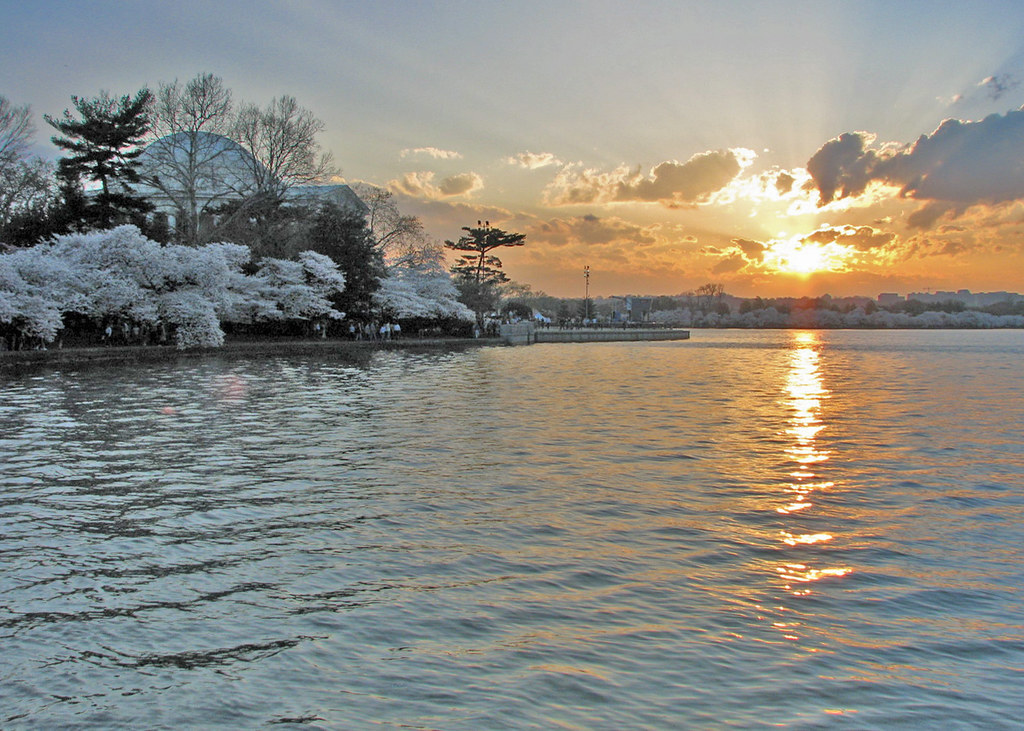 Sun Set on the Tidal Basin