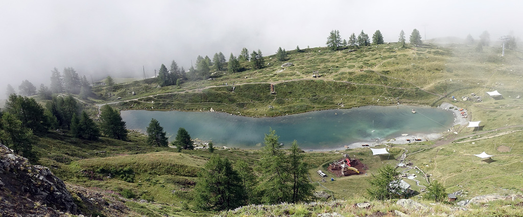 Leisee 2019