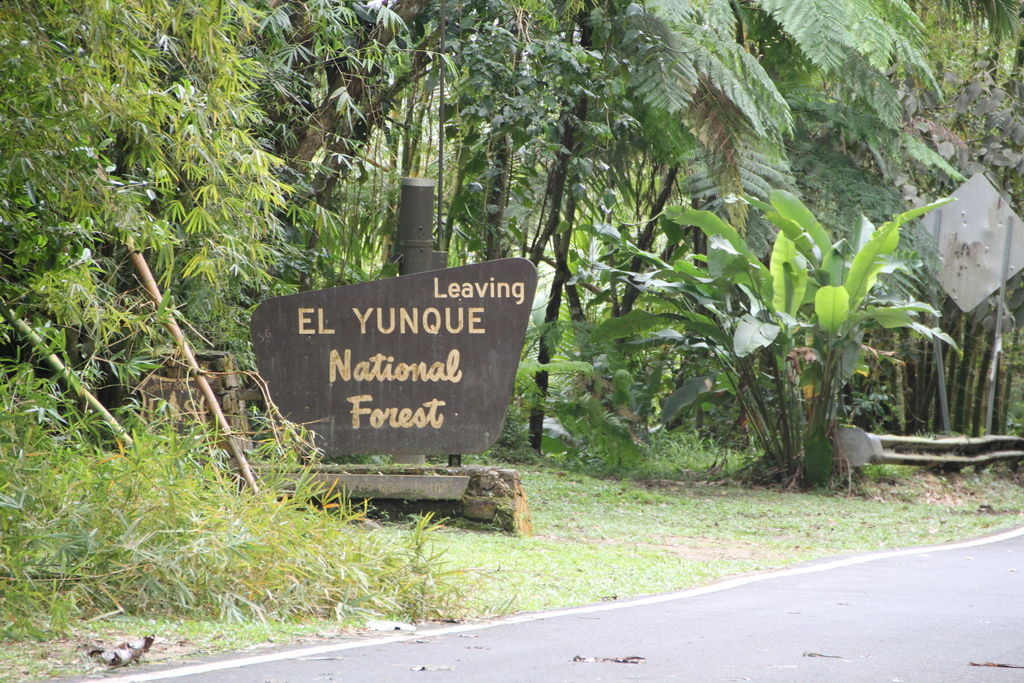 El Yunque nat park PR IMG 2009