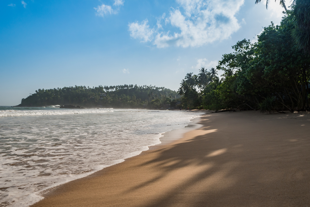 Mirissa beach Sri Lanka (29959458812)