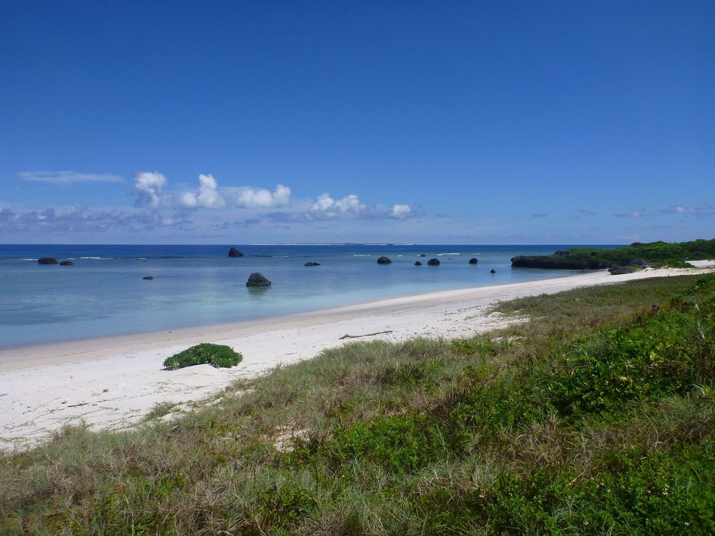 Coastal vegetation Tarama Island