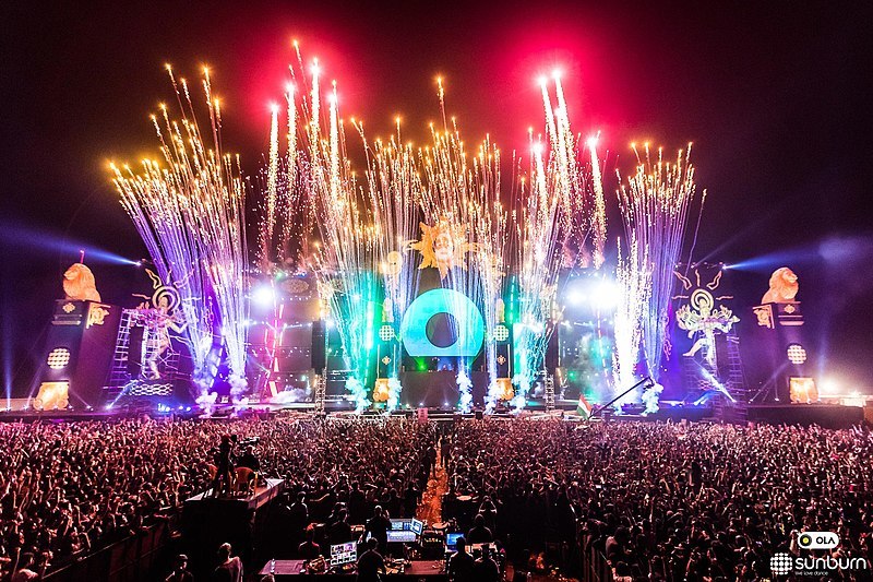 Sunburn Festival Pyro