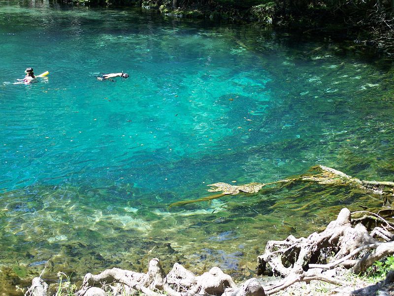 Manatee Springs State Park Florida springs03