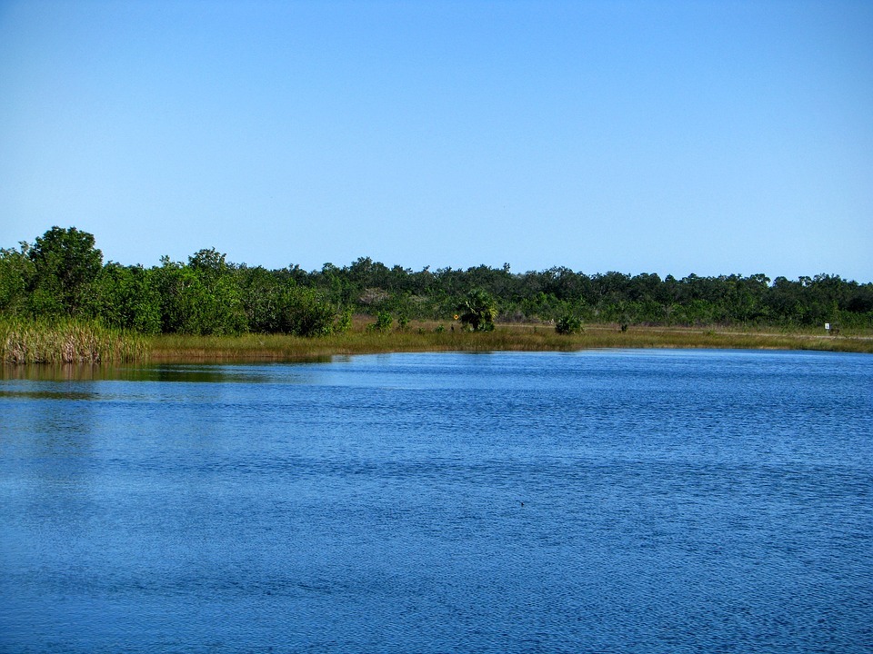 Top 18 Things To Do In Palmetto, Florida Trip101