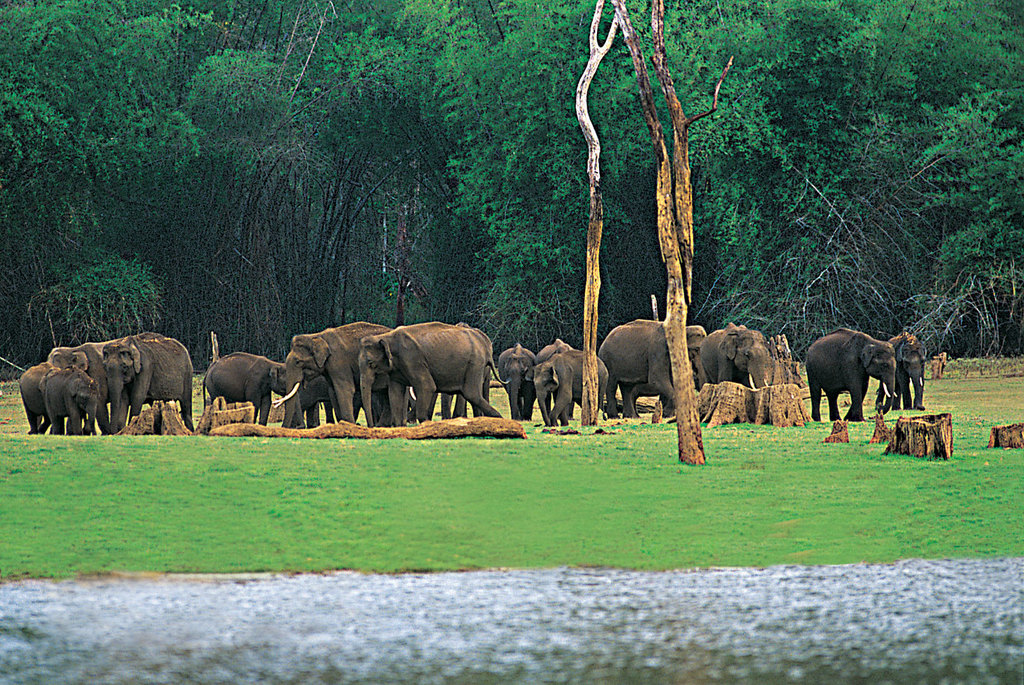 Periyar Thekkady