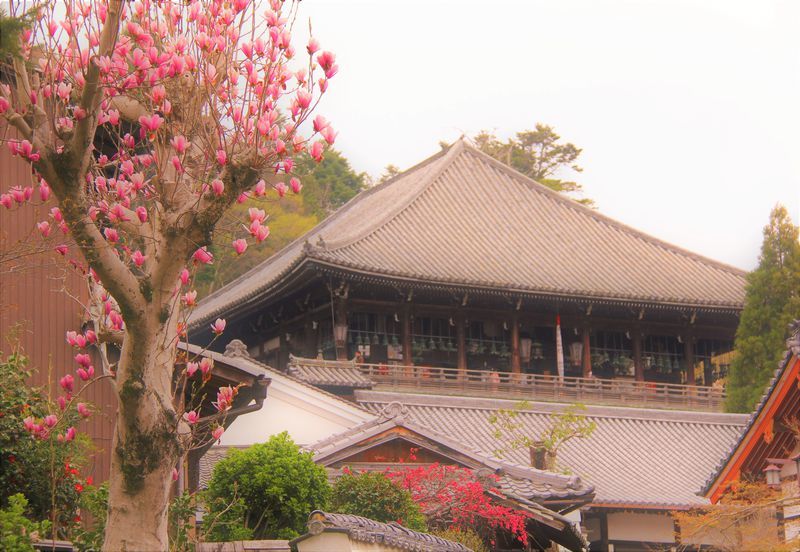 Nigatsu-do