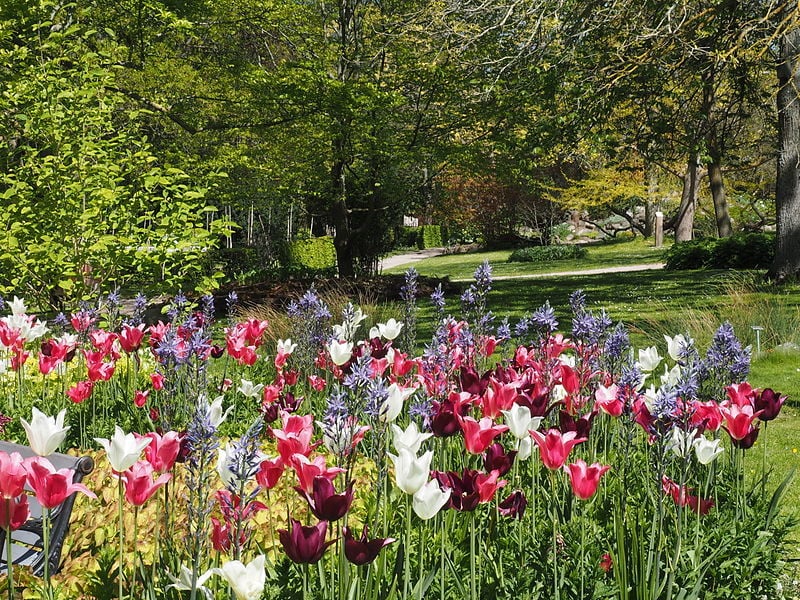 Visby Botanical Garden 02