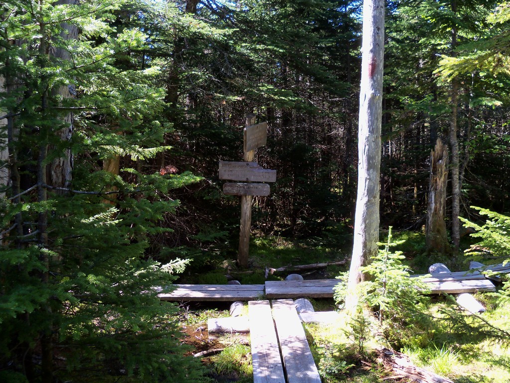 Appalachian Trail-Kenduskeag Trail junction