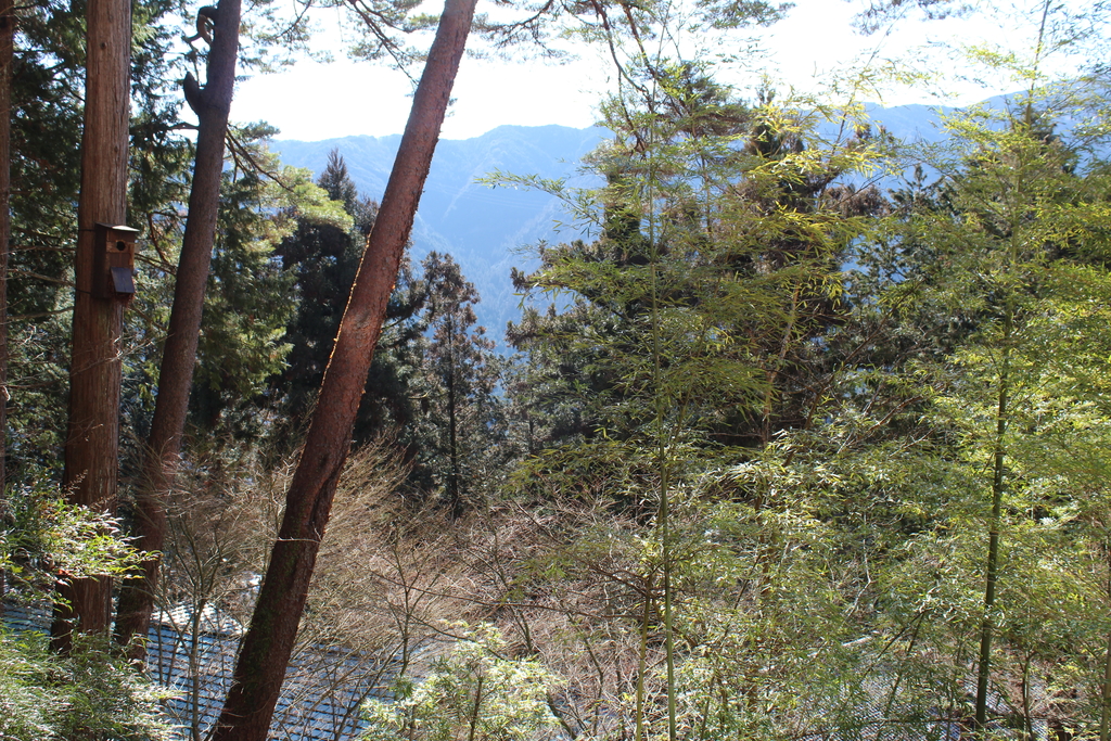 View from private onsen