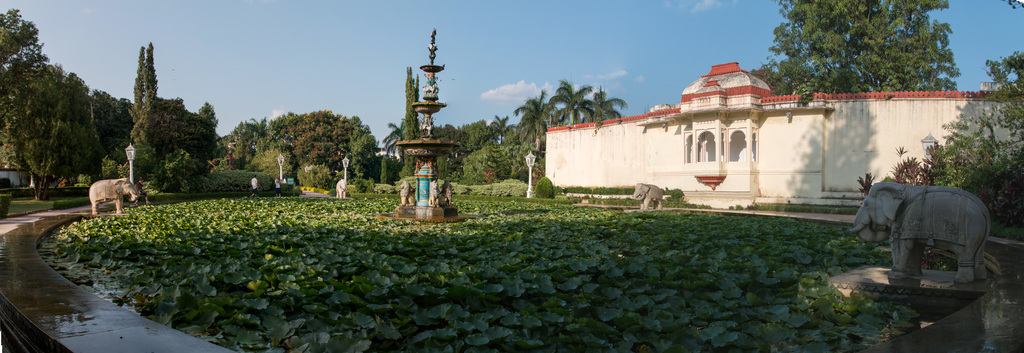 Udaipur-Sahelion Ki Bari-05-Lotus pond-20131013