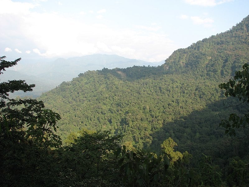 Landscape Namdapha IMG 3202 05