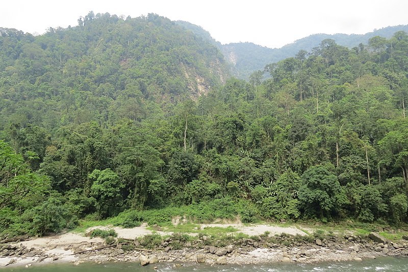 A view of the PakkeTR AJTJ IMG7101