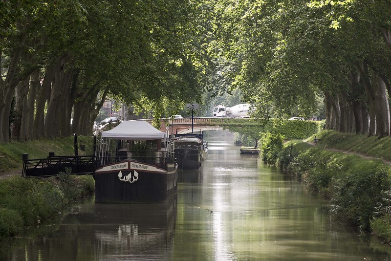 Canal de Brienne. 15 juin 2016.