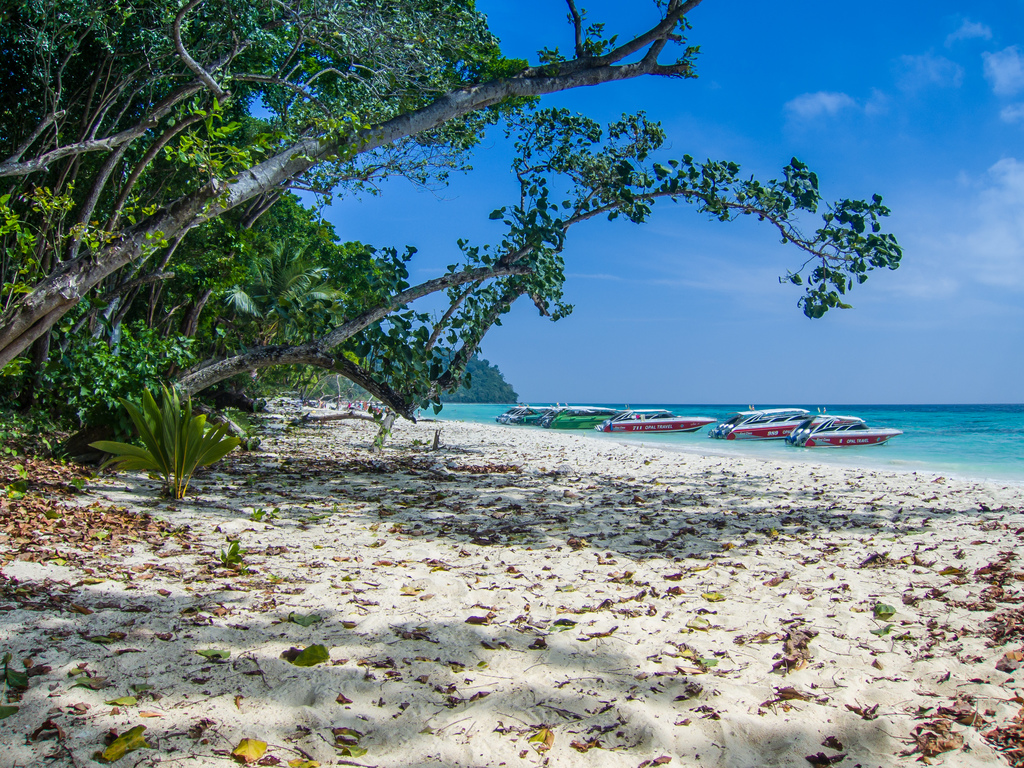 Beach ko rok yai, Thailand - Strand (19507318313)