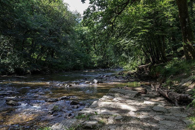 Exmoor National Park (Devon-Somerset, UK), Tarr Steps -- 2013 -- 5