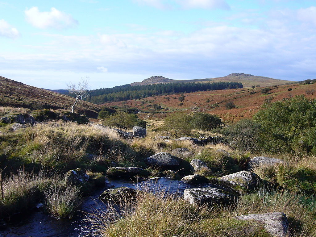 View to Sharpitor from Meavy