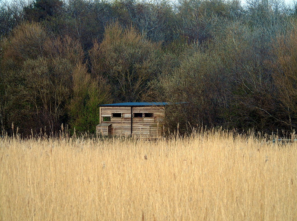 Bird Hide at Newport Wetlands RSPB Reserve