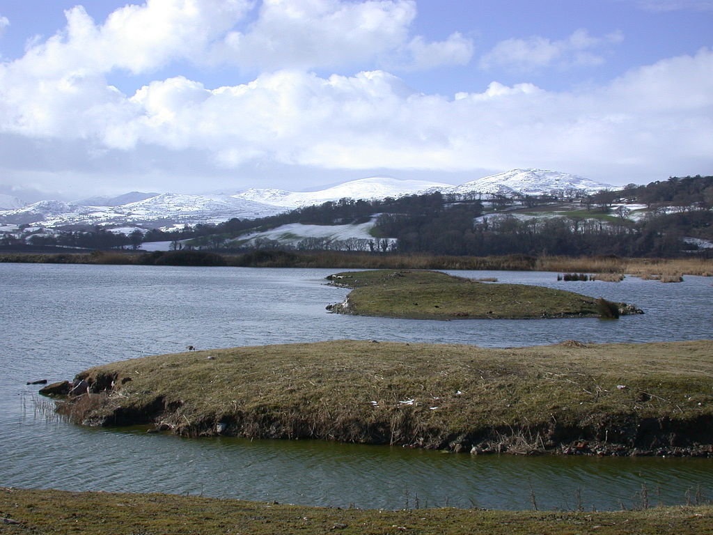 RSPB Conwy - Andy Mabbett - 02