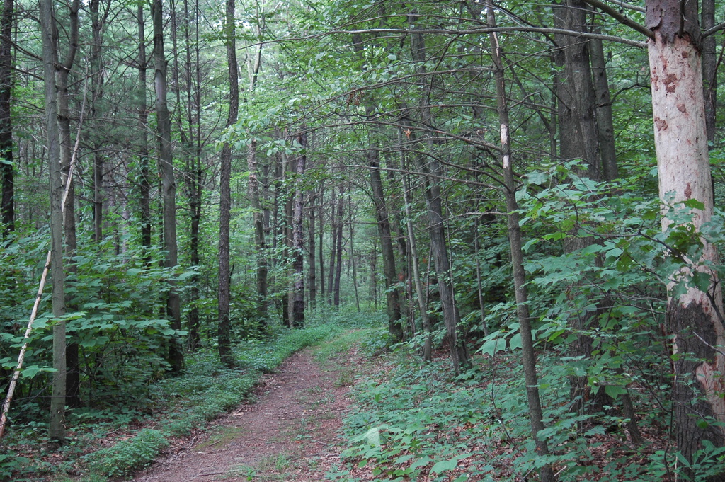 Joseph E. Ibberson Conservation Area