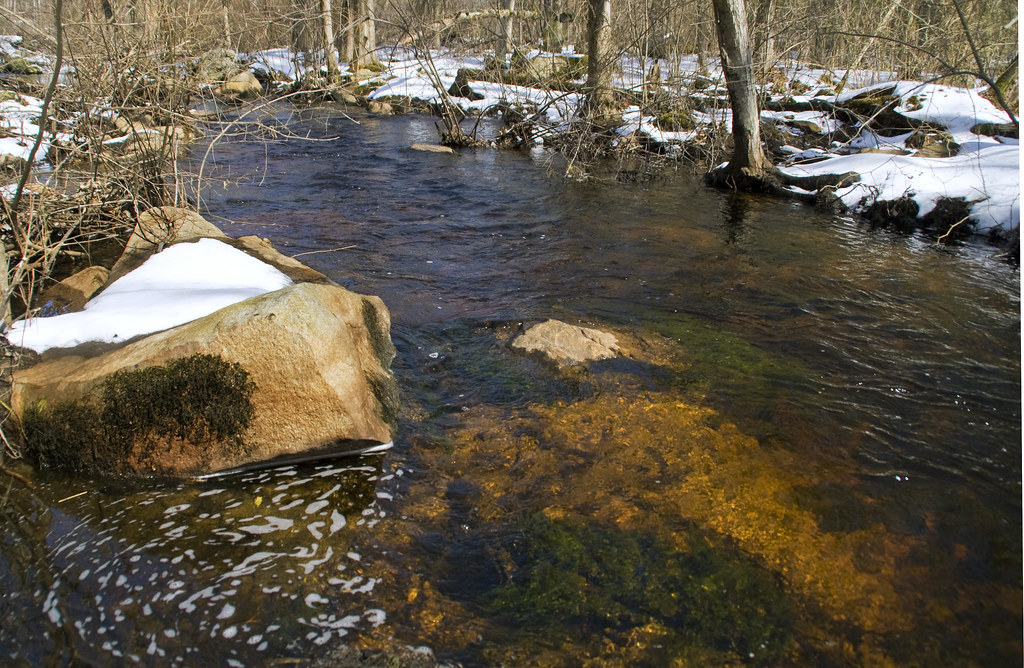Heath Hen Meadow Brook